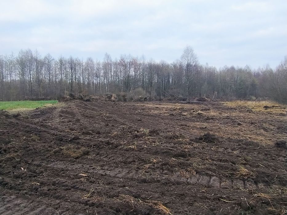 Розчищення полів