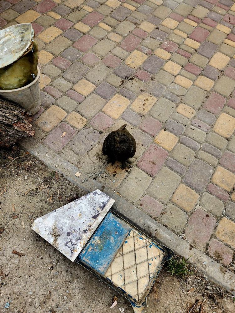 Сова садовая фигура из камня