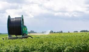 Wąż do deszczowni szpulowej 75 x 5,6 mm /PE80-SDR13,6/ nawadnianie pól