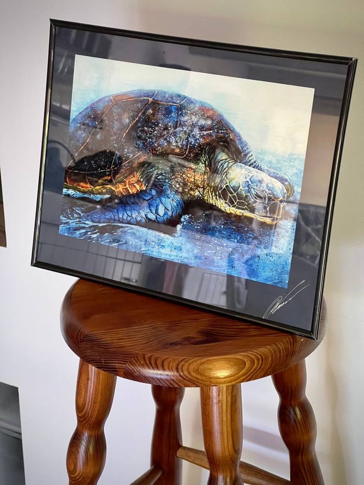 Obraz żółw morski 35,5x28cm