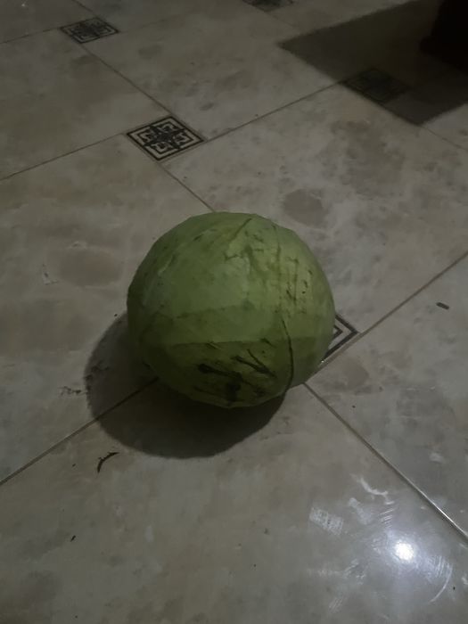 Електросамокат GIANT Outlander M11 без сидіння (52V 26Ah)