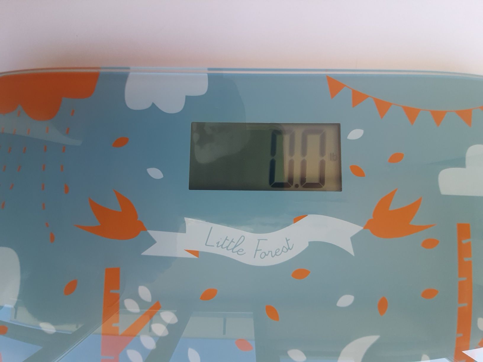 Ваги для підлоги,  підлогові Zelmer BS1500 до 150 кг.