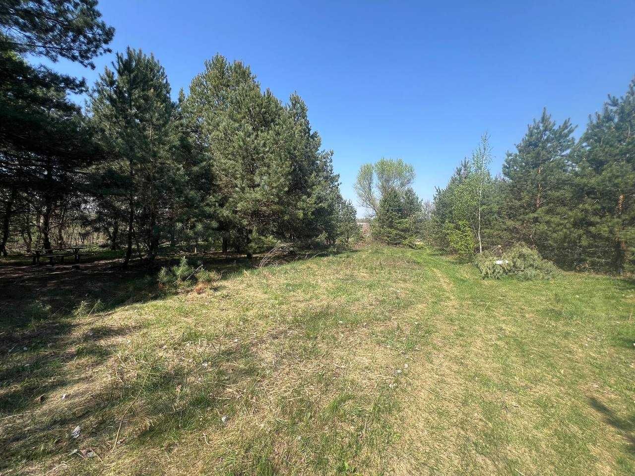 Продаж ділянки 39,1 соток (ОСГ). Серед сосен. Поряд озеро. ID:701