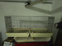 Vende-se gaiola para canários / mandarins / aves pequenas