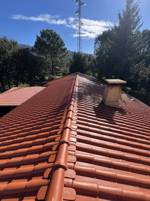 Pintor profissional e lavagem de Telhados