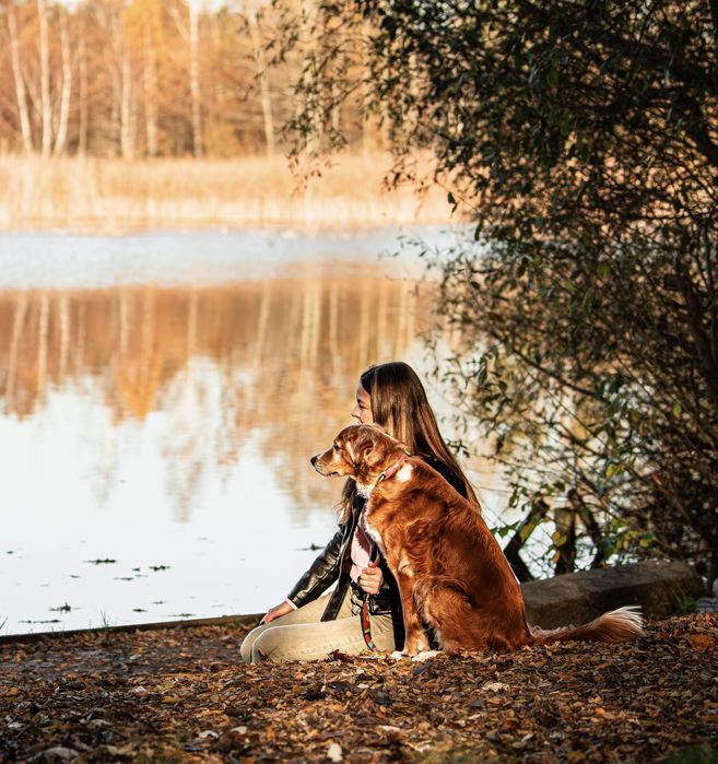 Behawiorysta & Trener psów