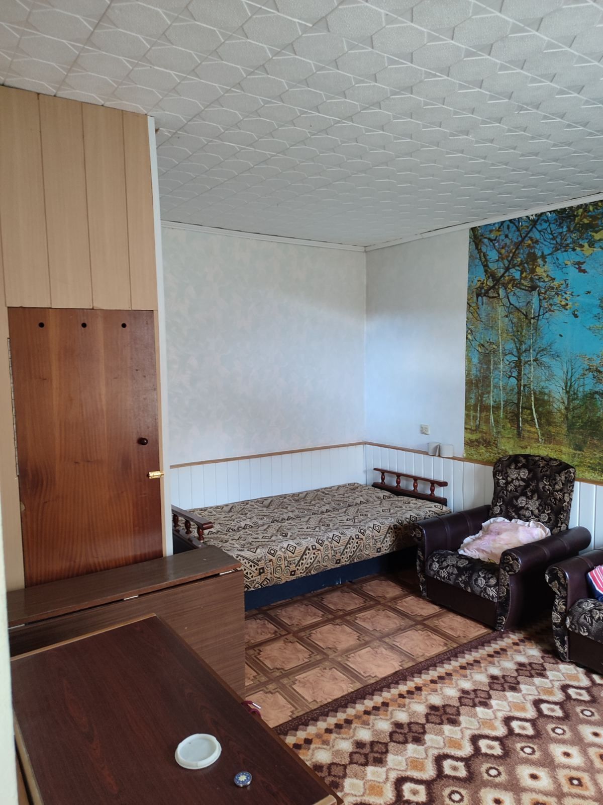 Продаж дачного будинку від власника