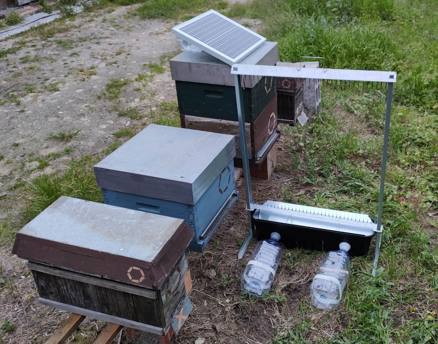 HARPAS SIMPLES/DUPLAS grande EFICÁCIA eletrónicas -arpa vespa velutina