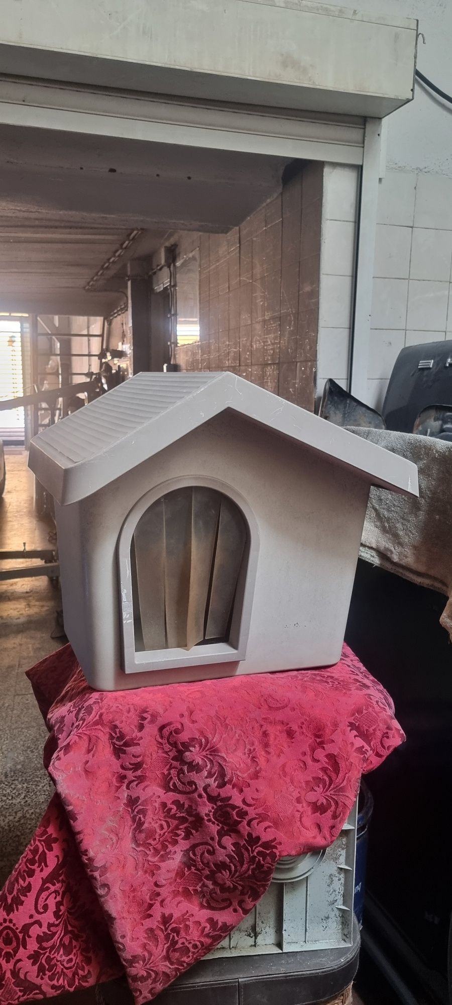 Casota de cão ou gato