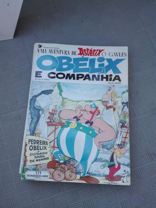 Livros Asterix e Obelix