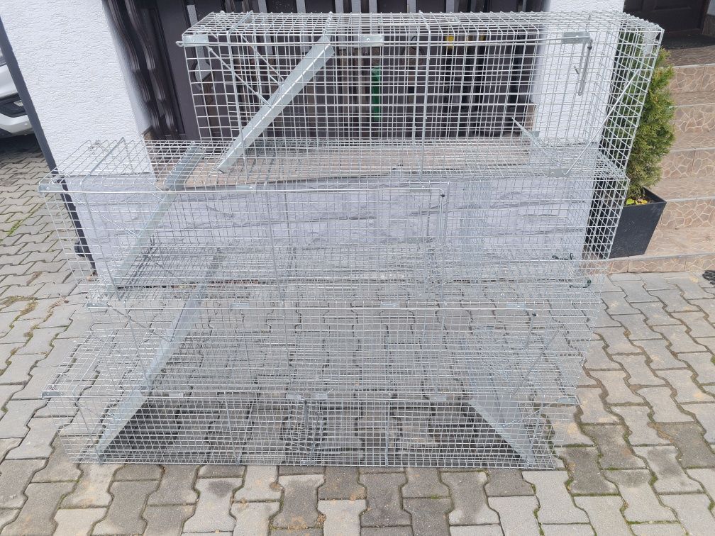 Klatka łapka lisy koty psy kuny i inne