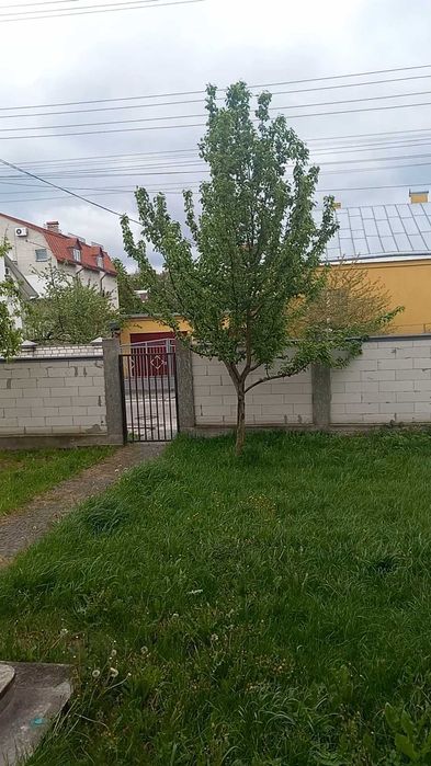 Продаж. 3 к, підвал, з власним садом. Центр. Куликівська. Власник