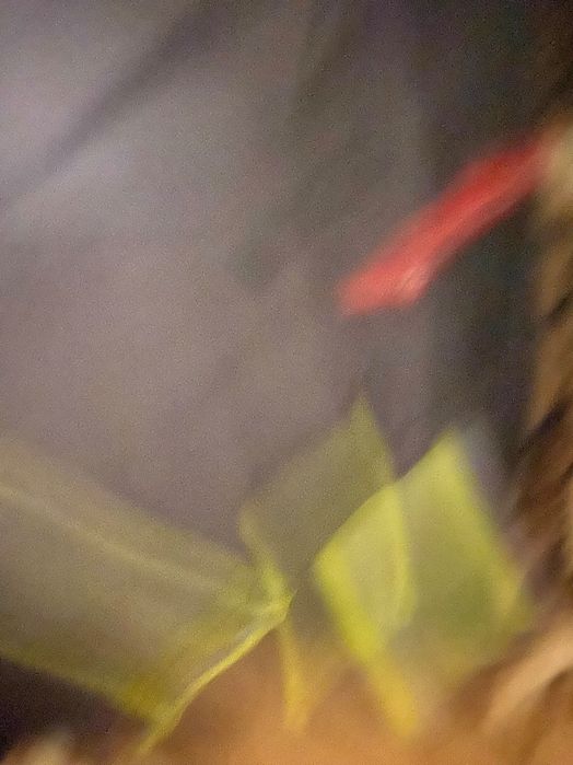 Робочі штани штраус