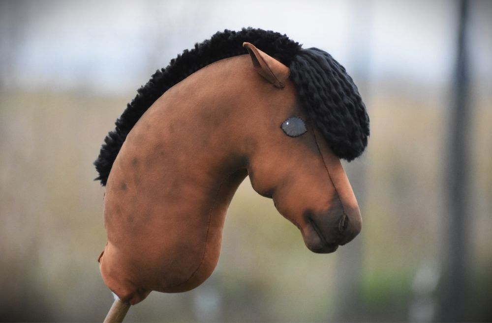 Hobby horse by aternon