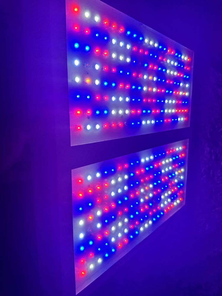 Фітолампа Ipower, led лампа для рослин
