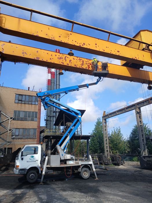 Usługi zwyżką i wycina drzew