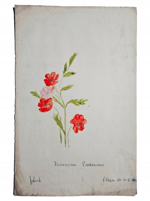 Akwarela Historyczna Olkusz 1941 Kochanemu Dziadziusiowi