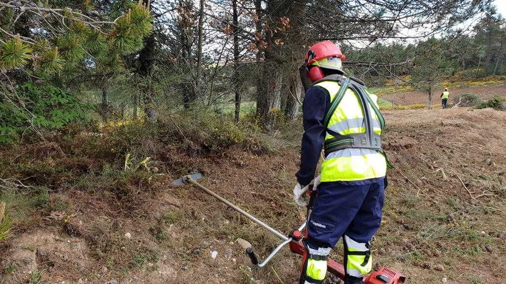 Limpezas de terrenos e matas