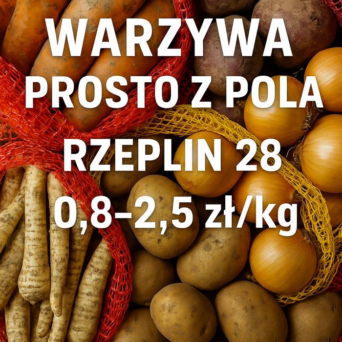 Warzywa prosto z pola – marchew, buraki, cebula, pietruszka, ziemniaki