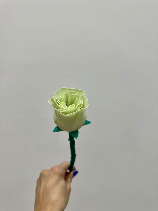 Flor dia da mulher