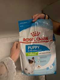 Karma dla psów  12 kg Royal Canin