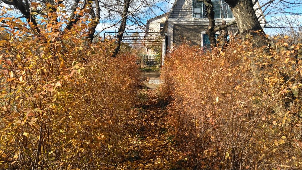 Садова ділянка 8 соток з будинком, Пересадівка, СТ "Трикотажник"