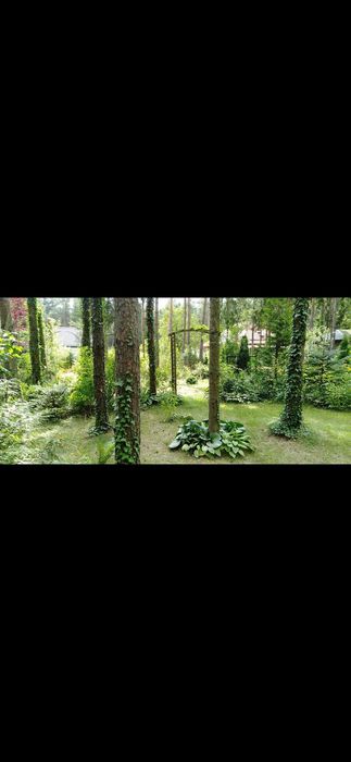 Domek letniskowy nad Siemianówką -Nowa Łuka