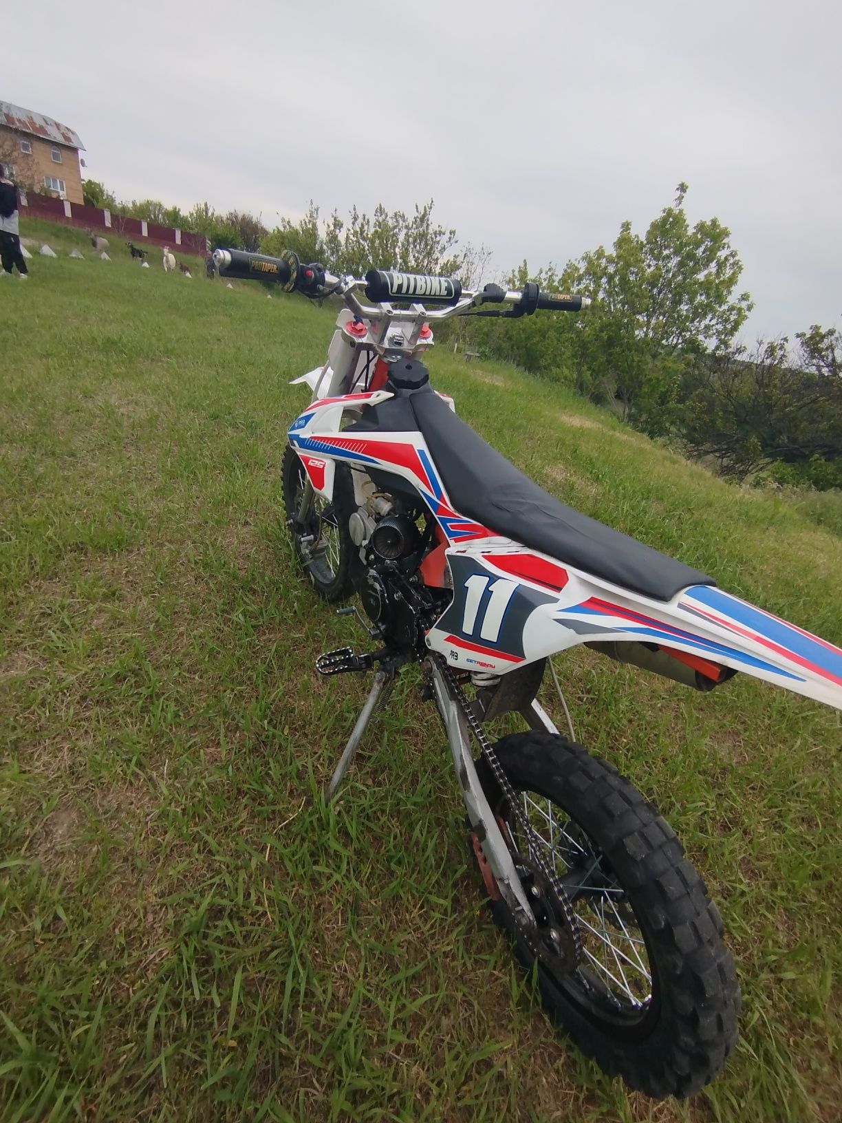 Проадм питбайк prb 125