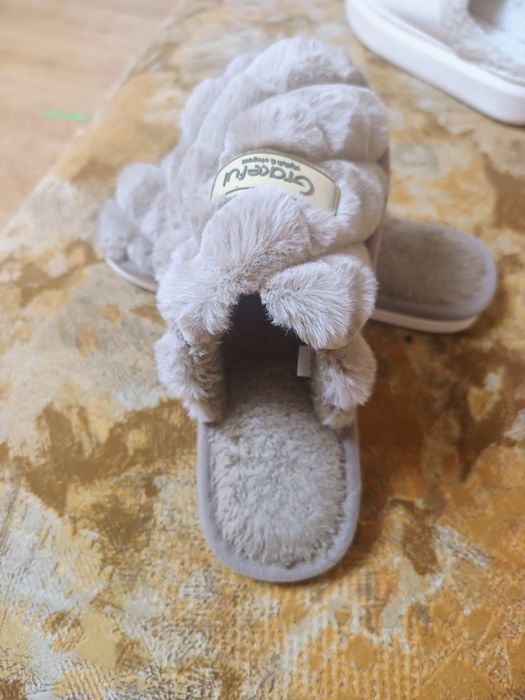 Продам кімнатні тапотулі