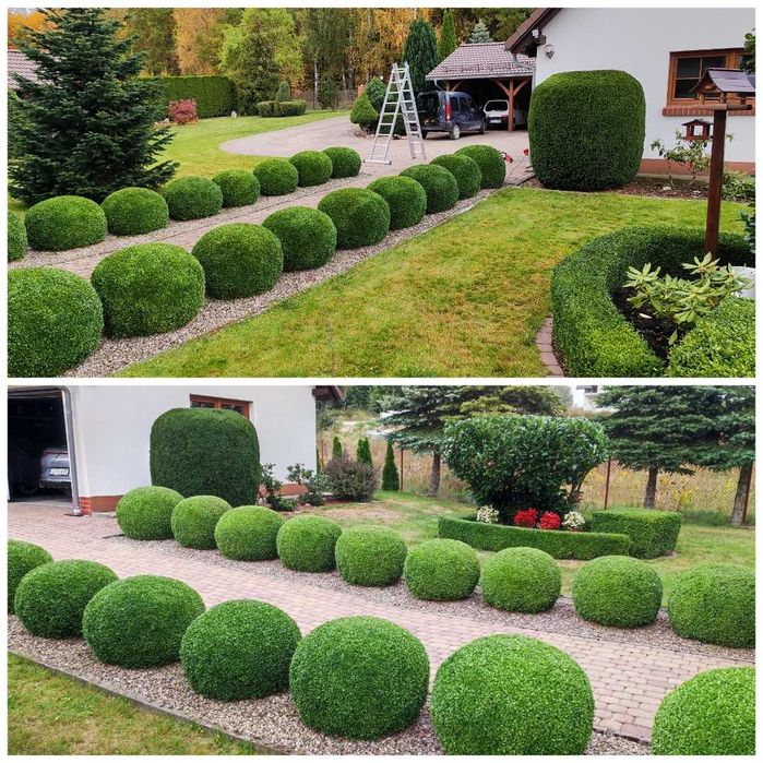 Zakładanie i pielęgnacja ogrodów