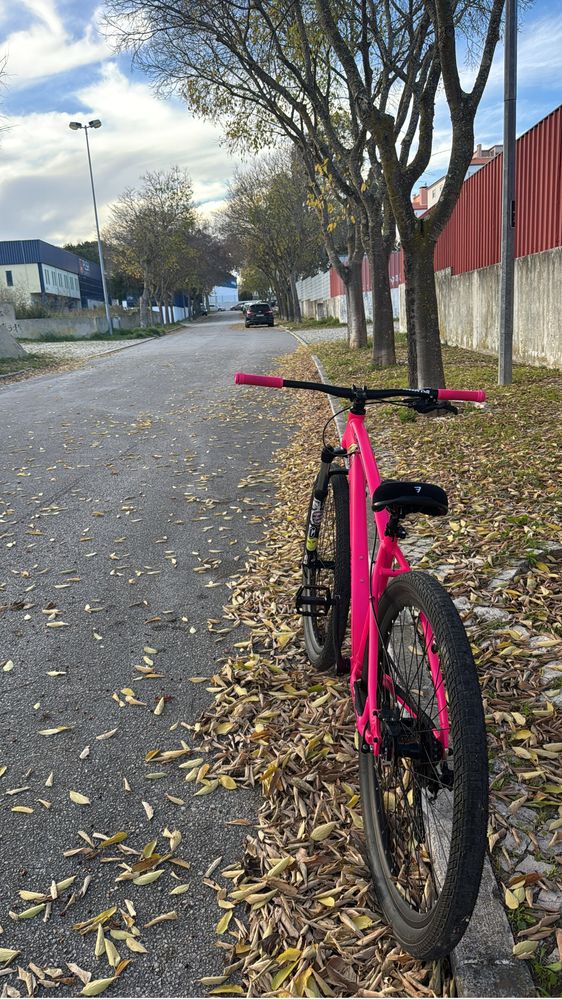 bike para grau (c100 collective bikes)