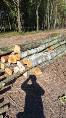 Sprzedam drewno opałowe brzoza sosna akacja czeremcha dąb