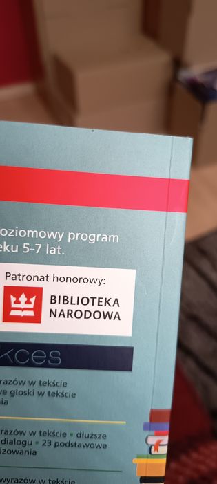 Książka człowiek z czerwoną chorągiewką