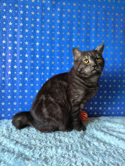 Мальчик чёрный дымчатый мрамор