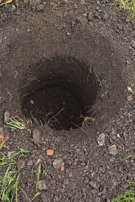 świder spalinowy/wynajem/wiertnica spalinowa/wiertnica gleby/otwornica