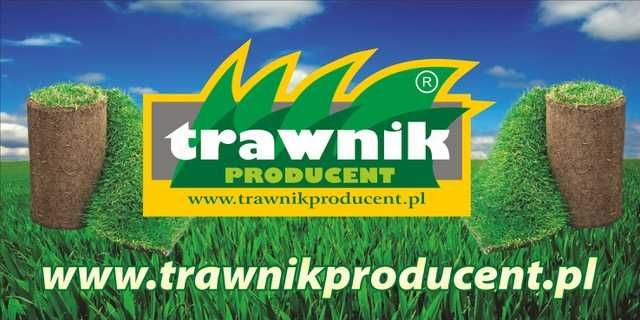 Trawnik z rolki Ogrodowo Sportowy/ Producent/ Prosto z plantacji