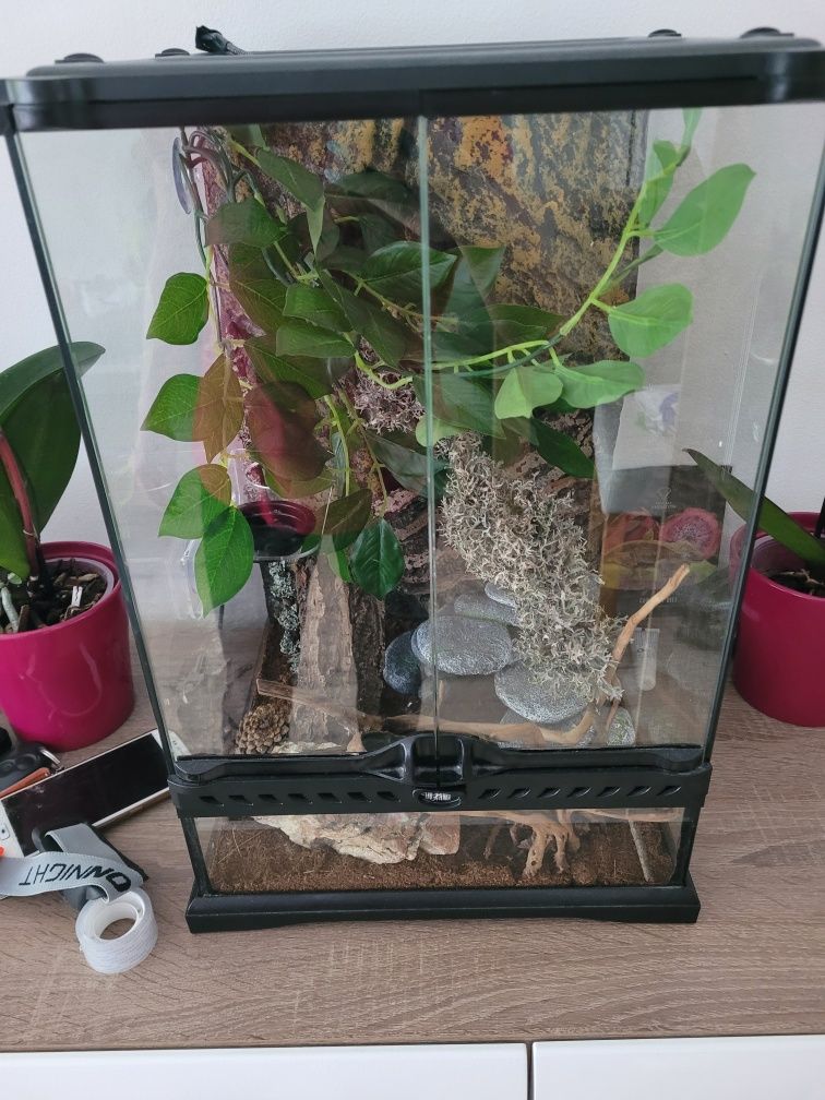 Exo Terra Terrarium 30 x 30 x 45 cm