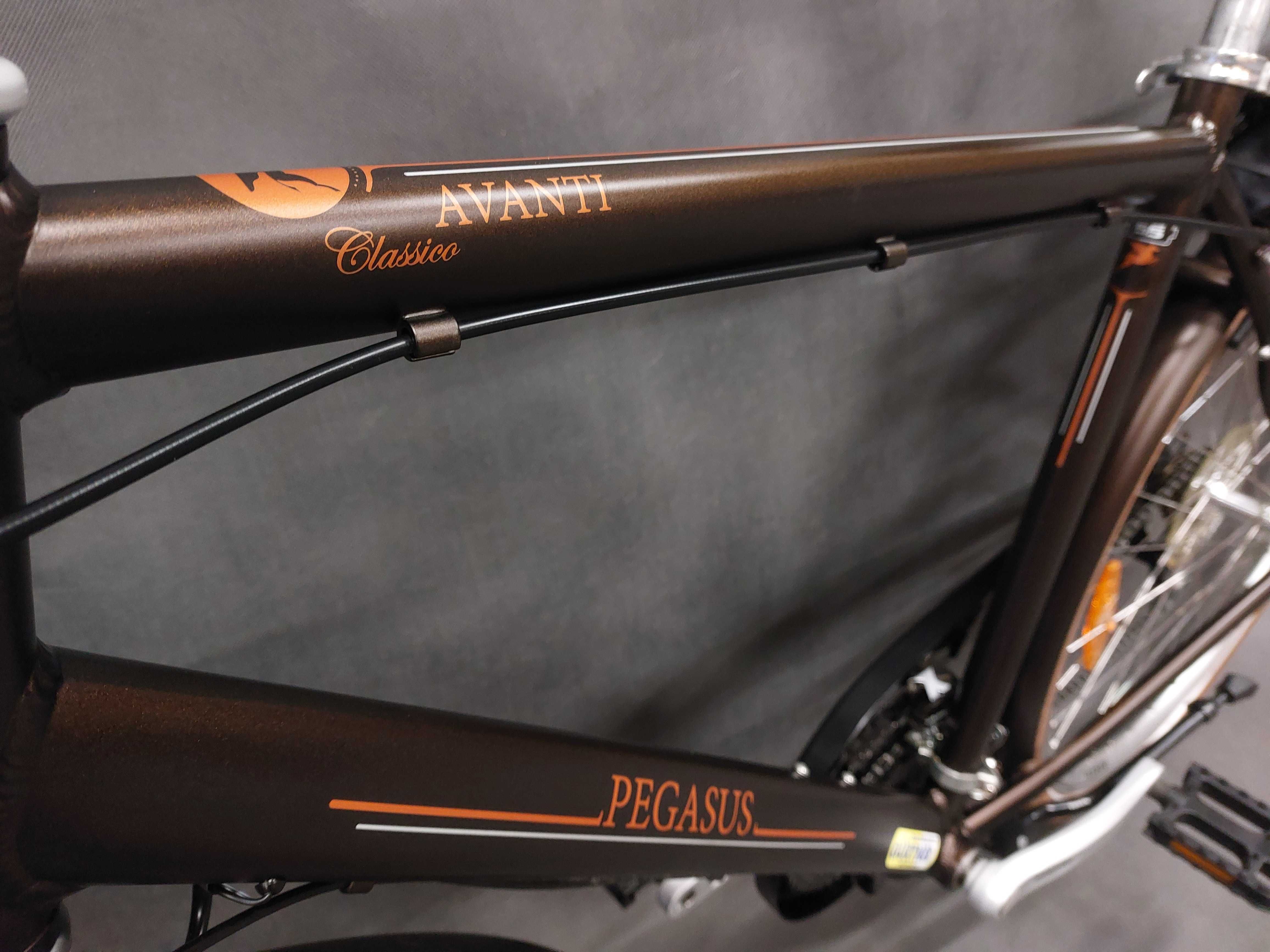 Rower Pegasus Avanti_28"_Shimano_Nexus