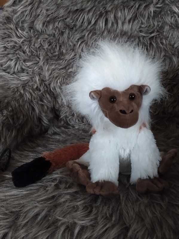 Maskotka Cotton Tamarin Tamaryna białoczuba pluszowa Małpka Fiesta WWF