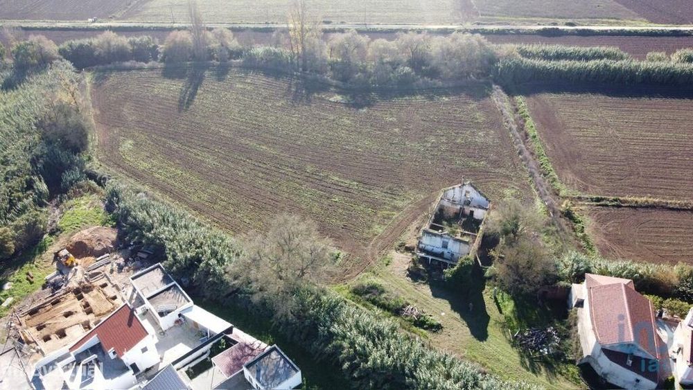 Terreno em São João da Ribeira e Ribeira de São João de 503,00 m2