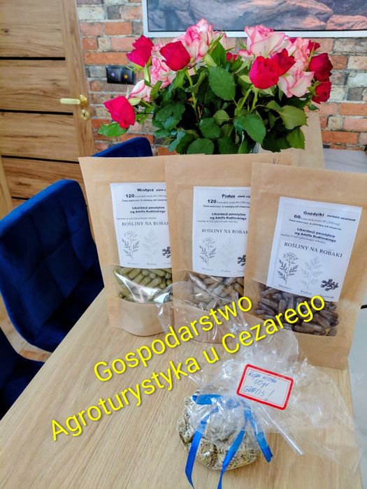 Pasożyty, odrobaczanie wg przepisu Adolfa Kudlińskiego. Zestaw 30 dni.