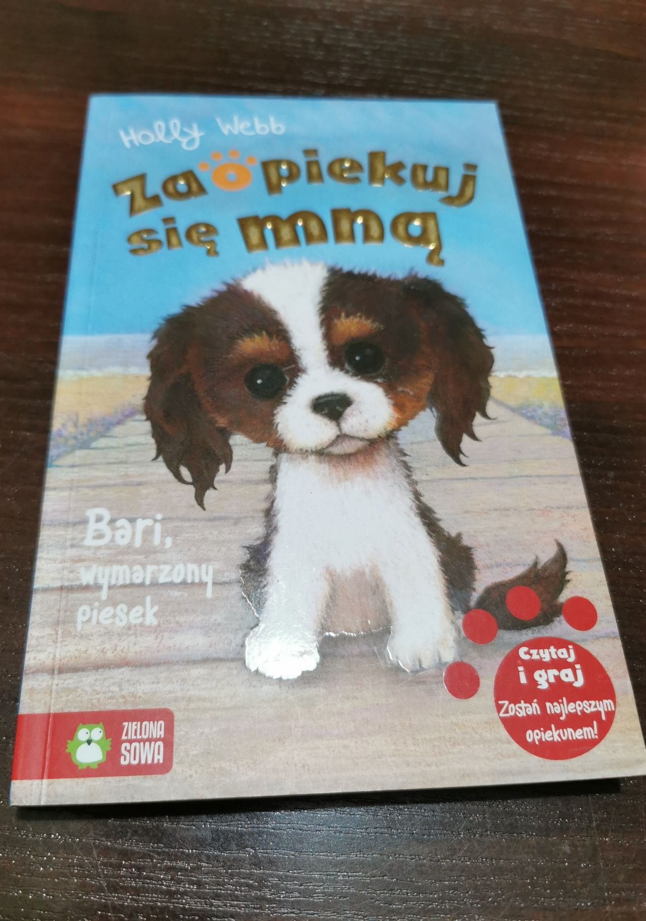 Bari, wymarzony piesek Holly Webb seria zaopiekuj się mną książka