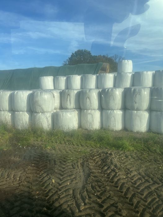 Sianokiszonka 125 cm 2024