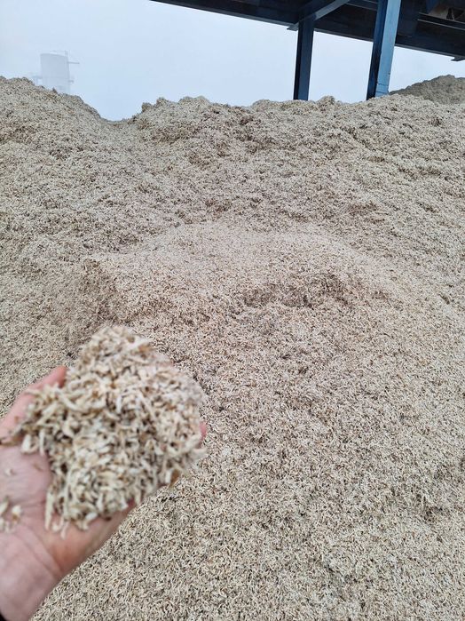 Sprzedam wysłodki buraczane mokre