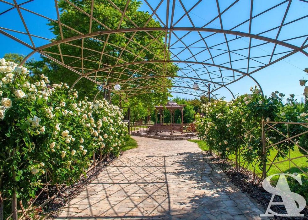 Шикарний вид Перша лінія моря Оксамитовий сезон