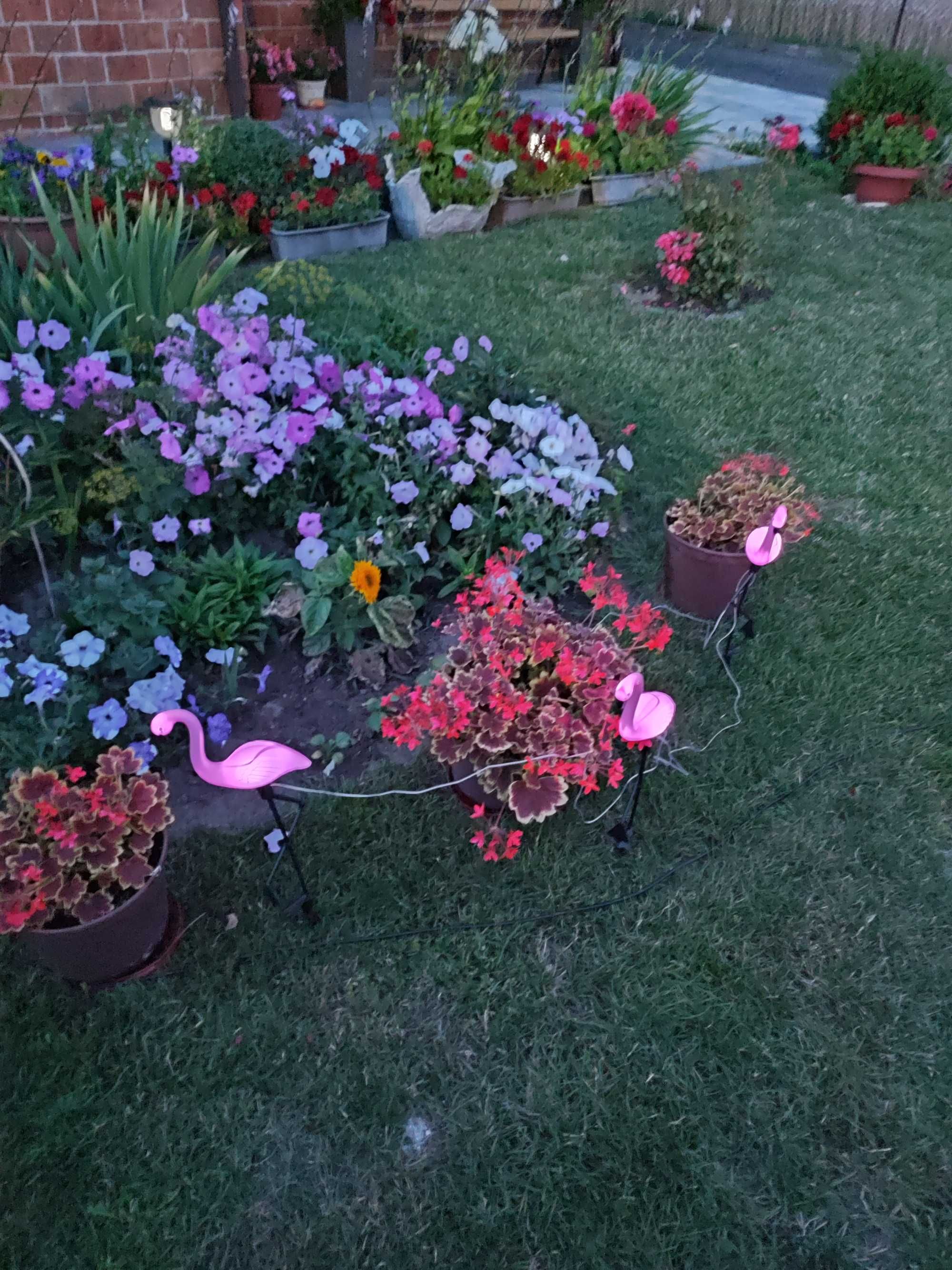 Lampy Solarne Ogrodowe Flamingi 3 Sztuki Dekoracja do ogrodu