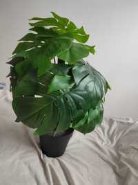 Monstera sztuczna 50 cm