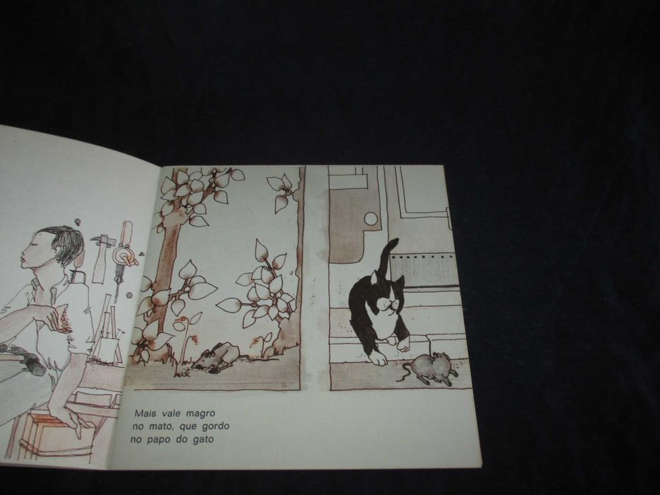 Livro Quem não trabuca Provérbios Lagarto Pintado Plátano