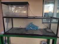 2  aquários com luz led filtros e termostatos