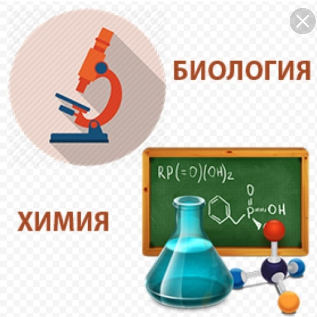 Репетитор по химии и биологии